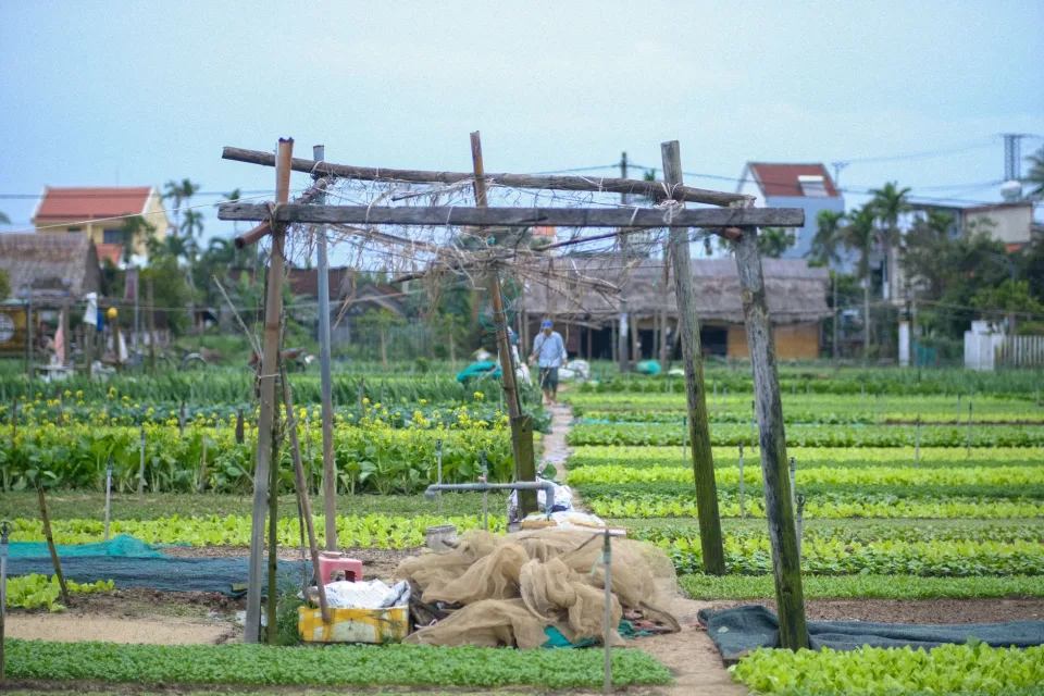Túi gạo đã đóng gói